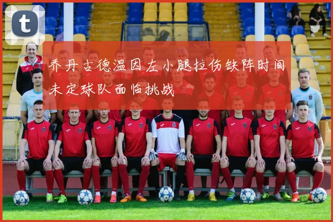 乔丹古德温因左小腿拉伤缺阵时间未定球队面临挑战